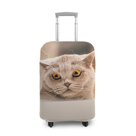 Чехол для чемодана 3D с принтом Британец 7 в Новосибирске, 86% полиэфир, 14% спандекс | двустороннее нанесение принта, прорези для ручек и колес | британец | британская | британцы | кот | котенок | котик | котэ | кошка
