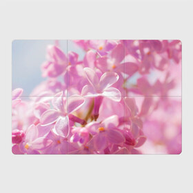 Магнитный плакат 3Х2 с принтом Душистая сирень в Новосибирске, Полимерный материал с магнитным слоем | 6 деталей размером 9*9 см | Тематика изображения на принте: лепестки | прикольные картинки | сирень | цветение | цветочки | цветы