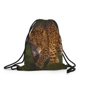Рюкзак-мешок 3D с принтом Дальневосточный леопард в Новосибирске, 100% полиэстер | плотность ткани — 200 г/м2, размер — 35 х 45 см; лямки — толстые шнурки, застежка на шнуровке, без карманов и подкладки | Тематика изображения на принте: дикая кошка | леопард | природа | хищник
