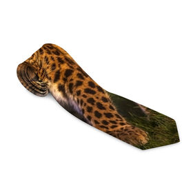 Галстук 3D с принтом Дальневосточный леопард в Новосибирске, 100% полиэстер | Длина 148 см; Плотность 150-180 г/м2 | Тематика изображения на принте: дикая кошка | леопард | природа | хищник