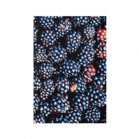 Обложка для паспорта матовая кожа с принтом Ежевика в Новосибирске, натуральная матовая кожа | размер 19,3 х 13,7 см; прозрачные пластиковые крепления | Тематика изображения на принте: фото | ягоды
