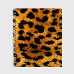 Тетрадь с принтом Леопард в Новосибирске, 100% бумага | 48 листов, плотность листов — 60 г/м2, плотность картонной обложки — 250 г/м2. Листы скреплены сбоку удобной пружинной спиралью. Уголки страниц и обложки скругленные. Цвет линий — светло-серый
 | леопард | пятна | шерсть