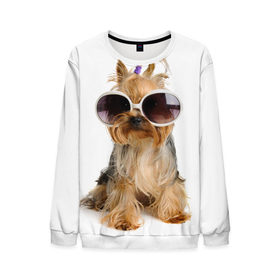 Мужской свитшот 3D с принтом Модница в Новосибирске, 100% полиэстер с мягким внутренним слоем | круглый вырез горловины, мягкая резинка на манжетах и поясе, свободная посадка по фигуре | fashion | животное | красавица | лучший друг | модница | няша | очки | причёска | собака | собачка | щенок | щеночек