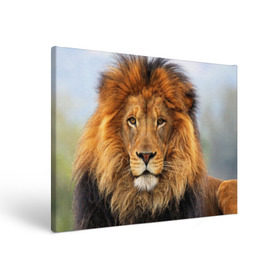 Холст прямоугольный с принтом Красавец лев в Новосибирске, 100% ПВХ |  | Тематика изображения на принте: lion | грива | дикая кошка | добыча | животное | зверь | клыки | когти | король джунглей | лев | мясо | хищник | царь зверей