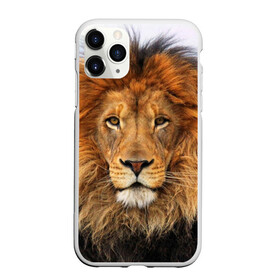 Чехол для iPhone 11 Pro матовый с принтом Красавец лев в Новосибирске, Силикон |  | Тематика изображения на принте: lion | грива | дикая кошка | добыча | животное | зверь | клыки | когти | король джунглей | лев | мясо | хищник | царь зверей