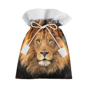 Подарочный 3D мешок с принтом Красавец лев в Новосибирске, 100% полиэстер | Размер: 29*39 см | lion | грива | дикая кошка | добыча | животное | зверь | клыки | когти | король джунглей | лев | мясо | хищник | царь зверей