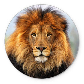 Коврик круглый с принтом Красавец лев в Новосибирске, резина и полиэстер | круглая форма, изображение наносится на всю лицевую часть | lion | грива | дикая кошка | добыча | животное | зверь | клыки | когти | король джунглей | лев | мясо | хищник | царь зверей