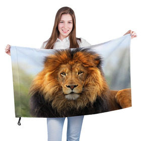Флаг 3D с принтом Красавец лев в Новосибирске, 100% полиэстер | плотность ткани — 95 г/м2, размер — 67 х 109 см. Принт наносится с одной стороны | Тематика изображения на принте: lion | грива | дикая кошка | добыча | животное | зверь | клыки | когти | король джунглей | лев | мясо | хищник | царь зверей