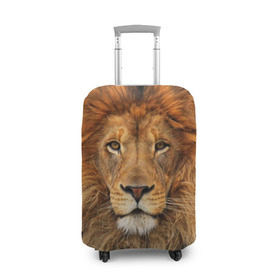 Чехол для чемодана 3D с принтом Красавец лев в Новосибирске, 86% полиэфир, 14% спандекс | двустороннее нанесение принта, прорези для ручек и колес | lion | грива | дикая кошка | добыча | животное | зверь | клыки | когти | король джунглей | лев | мясо | хищник | царь зверей