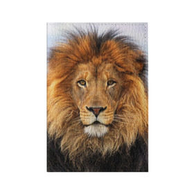 Обложка для паспорта матовая кожа с принтом Красавец лев в Новосибирске, натуральная матовая кожа | размер 19,3 х 13,7 см; прозрачные пластиковые крепления | Тематика изображения на принте: lion | грива | дикая кошка | добыча | животное | зверь | клыки | когти | король джунглей | лев | мясо | хищник | царь зверей