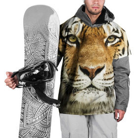 Накидка на куртку 3D с принтом Амурский тигр в Новосибирске, 100% полиэстер |  | амурский | дикая кошка | добыча | животное | зверь | клыки | когти | мясо | тигр | уссурийский | хищник