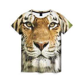 Женская футболка 3D с принтом Амурский тигр в Новосибирске, 100% полиэфир ( синтетическое хлопкоподобное полотно) | прямой крой, круглый вырез горловины, длина до линии бедер | амурский | дикая кошка | добыча | животное | зверь | клыки | когти | мясо | тигр | уссурийский | хищник