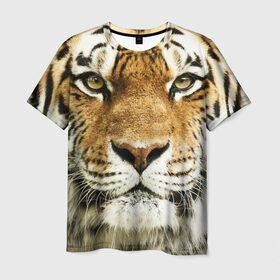 Мужская футболка 3D с принтом Амурский тигр в Новосибирске, 100% полиэфир | прямой крой, круглый вырез горловины, длина до линии бедер | амурский | дикая кошка | добыча | животное | зверь | клыки | когти | мясо | тигр | уссурийский | хищник