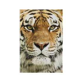 Обложка для паспорта матовая кожа с принтом Амурский тигр в Новосибирске, натуральная матовая кожа | размер 19,3 х 13,7 см; прозрачные пластиковые крепления | амурский | дикая кошка | добыча | животное | зверь | клыки | когти | мясо | тигр | уссурийский | хищник