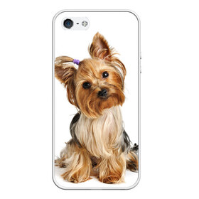 Чехол для iPhone 5/5S матовый с принтом Красотка в Новосибирске, Силикон | Область печати: задняя сторона чехла, без боковых панелей | Тематика изображения на принте: fashion | животное | красавица | лучший друг | модница | няша | причёска | собака | собачка | щенок | щеночек