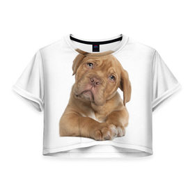 Женская футболка 3D укороченная с принтом Грустный щенок в Новосибирске, 100% полиэстер | круглая горловина, длина футболки до линии талии, рукава с отворотами | животное | лучший друг | милаха | няша | собака | собачка | щенок | щеночек
