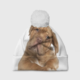 Шапка 3D c помпоном с принтом Грустный щенок в Новосибирске, 100% полиэстер | универсальный размер, печать по всей поверхности изделия | животное | лучший друг | милаха | няша | собака | собачка | щенок | щеночек