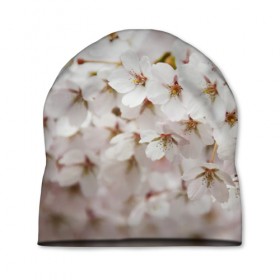 Шапка 3D с принтом Весеннее цветение в Новосибирске, 100% полиэстер | универсальный размер, печать по всей поверхности изделия | Тематика изображения на принте: белый | весна | лепестки | прикольные картинки | цветочки | цветы