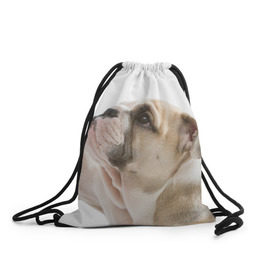 Рюкзак-мешок 3D с принтом Бульдог в Новосибирске, 100% полиэстер | плотность ткани — 200 г/м2, размер — 35 х 45 см; лямки — толстые шнурки, застежка на шнуровке, без карманов и подкладки | бульдог | бульдоги | мопс | мопсы | песик | песики | собака | собаки