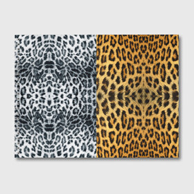 Альбом для рисования с принтом Леопард Снежный Барс в Новосибирске, 100% бумага
 | матовая бумага, плотность 200 мг. | textures | барс | животное | леопард | пятна | снежный | текстура | чёрное с белым
