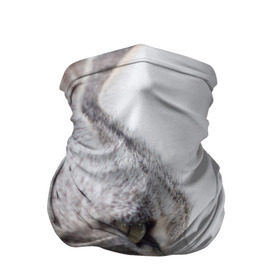 Бандана-труба 3D с принтом Серый кот в Новосибирске, 100% полиэстер, ткань с особыми свойствами — Activecool | плотность 150‒180 г/м2; хорошо тянется, но сохраняет форму | взгляд | глаза | голова животного | киска | кот | котёнок | кошка | прикольные картинки
