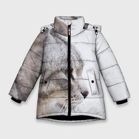 Зимняя куртка для девочек 3D с принтом Серый кот в Новосибирске, ткань верха — 100% полиэстер; подклад — 100% полиэстер, утеплитель — 100% полиэстер. | длина ниже бедра, удлиненная спинка, воротник стойка и отстегивающийся капюшон. Есть боковые карманы с листочкой на кнопках, утяжки по низу изделия и внутренний карман на молнии. 

Предусмотрены светоотражающий принт на спинке, радужный светоотражающий элемент на пуллере молнии и на резинке для утяжки. | взгляд | глаза | голова животного | киска | кот | котёнок | кошка | прикольные картинки