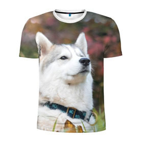 Мужская футболка 3D спортивная с принтом Хаски в Новосибирске, 100% полиэстер с улучшенными характеристиками | приталенный силуэт, круглая горловина, широкие плечи, сужается к линии бедра | лайка | маламут | песик | песики | собака | собаки | хаски
