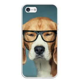 Чехол для iPhone 5/5S матовый с принтом Бигль в Новосибирске, Силикон | Область печати: задняя сторона чехла, без боковых панелей | бигль | гончая | дворняжка | охотничья | песик | песики | собака | собаки