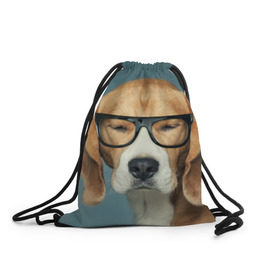 Рюкзак-мешок 3D с принтом Бигль в Новосибирске, 100% полиэстер | плотность ткани — 200 г/м2, размер — 35 х 45 см; лямки — толстые шнурки, застежка на шнуровке, без карманов и подкладки | бигль | гончая | дворняжка | охотничья | песик | песики | собака | собаки