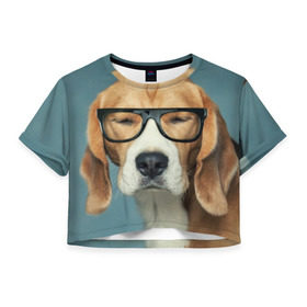 Женская футболка 3D укороченная с принтом Бигль в Новосибирске, 100% полиэстер | круглая горловина, длина футболки до линии талии, рукава с отворотами | бигль | гончая | дворняжка | охотничья | песик | песики | собака | собаки