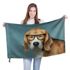 Флаг 3D с принтом Бигль в Новосибирске, 100% полиэстер | плотность ткани — 95 г/м2, размер — 67 х 109 см. Принт наносится с одной стороны | бигль | гончая | дворняжка | охотничья | песик | песики | собака | собаки