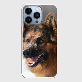 Чехол для iPhone 13 Pro с принтом Длинношерстная овчарка в Новосибирске,  |  | овчарка | овчарки | песик | песики | собака | собаки