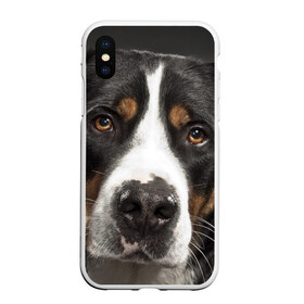 Чехол для iPhone XS Max матовый с принтом Зенненхунд в Новосибирске, Силикон | Область печати: задняя сторона чехла, без боковых панелей | большая собака | зенненхунд | пес | песик | сенбернар | собака | собаки
