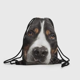 Рюкзак-мешок 3D с принтом Зенненхунд в Новосибирске, 100% полиэстер | плотность ткани — 200 г/м2, размер — 35 х 45 см; лямки — толстые шнурки, застежка на шнуровке, без карманов и подкладки | большая собака | зенненхунд | пес | песик | сенбернар | собака | собаки