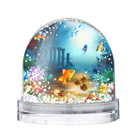 Снежный шар с принтом Золотая рыбка в Новосибирске, Пластик | Изображение внутри шара печатается на глянцевой фотобумаге с двух сторон | Тематика изображения на принте: вода | водоросли | море | подводный мир | природа | рыба | рыбка | туризм
