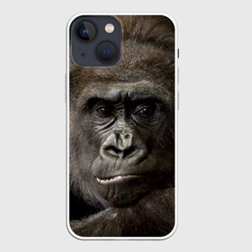 Чехол для iPhone 13 mini с принтом Взгляд в Новосибирске,  |  | взгляд | голова | животные | обезьяна | природа