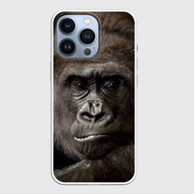 Чехол для iPhone 13 Pro с принтом Взгляд в Новосибирске,  |  | взгляд | голова | животные | обезьяна | природа