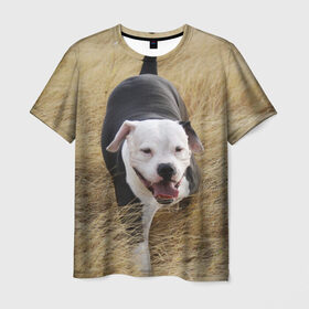 Мужская футболка 3D с принтом Пит-буль на траве в Новосибирске, 100% полиэфир | прямой крой, круглый вырез горловины, длина до линии бедер | амстафф | буль | пес | песик | питбули | питбуль | собака | собаки | стафф | терьер