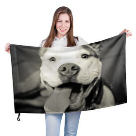Флаг 3D с принтом Пит-буль в Новосибирске, 100% полиэстер | плотность ткани — 95 г/м2, размер — 67 х 109 см. Принт наносится с одной стороны | амстафф | буль | пес | песик | питбули | питбуль | собака | собаки | стафф | терьер