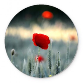 Коврик круглый с принтом Алый мак в Новосибирске, резина и полиэстер | круглая форма, изображение наносится на всю лицевую часть | алый | красный | лепестки | мак | прикольные картинки | цветочки | цветы