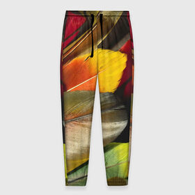 Мужские брюки 3D с принтом Перья в Новосибирске, 100% полиэстер | манжеты по низу, эластичный пояс регулируется шнурком, по бокам два кармана без застежек, внутренняя часть кармана из мелкой сетки | новый | перья | рисунок | текстура | узоры | цветной