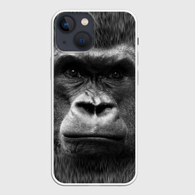 Чехол для iPhone 13 mini с принтом Взгляд в Новосибирске,  |  | взгляд | голова | животные | о.м.с.к. | обезьяна | природа