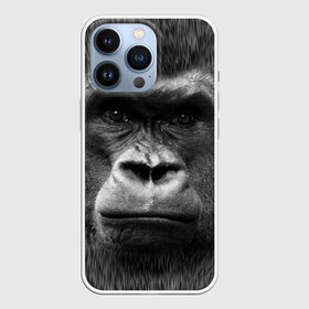 Чехол для iPhone 13 Pro с принтом Взгляд в Новосибирске,  |  | взгляд | голова | животные | о.м.с.к. | обезьяна | природа