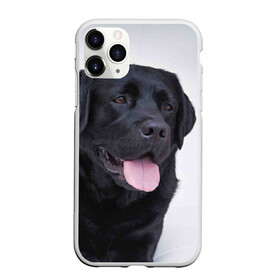 Чехол для iPhone 11 Pro матовый с принтом Черный лабрадор в Новосибирске, Силикон |  | большая | золотистый | лабрадор | лабрадоры | палевый | песик | ретривер | собака | собаки