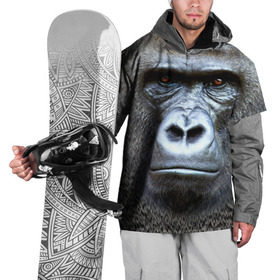 Накидка на куртку 3D с принтом Взгляд в Новосибирске, 100% полиэстер |  | взгляд | голова | животные | обезьяна | природа