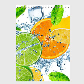 Скетчбук с принтом Мятный смузи в Новосибирске, 100% бумага
 | 48 листов, плотность листов — 100 г/м2, плотность картонной обложки — 250 г/м2. Листы скреплены сверху удобной пружинной спиралью | Тематика изображения на принте: вода | еда | зима | искусство | лайм | лимон | листья | новинки | природа | солнце | фрукты