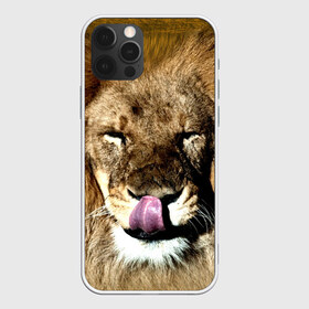 Чехол для iPhone 12 Pro Max с принтом Взгляд в Новосибирске, Силикон |  | Тематика изображения на принте: взгляд | животные | кот | лев