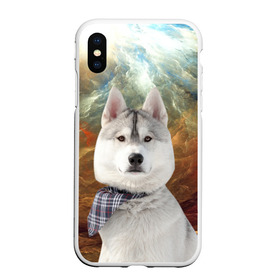 Чехол для iPhone XS Max матовый с принтом Хаски в Новосибирске, Силикон | Область печати: задняя сторона чехла, без боковых панелей | маламут | песик | собака | собаки | собачка | хаски