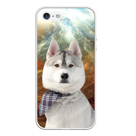 Чехол для iPhone 5/5S матовый с принтом Хаски в Новосибирске, Силикон | Область печати: задняя сторона чехла, без боковых панелей | Тематика изображения на принте: маламут | песик | собака | собаки | собачка | хаски