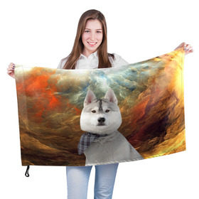 Флаг 3D с принтом Хаски в Новосибирске, 100% полиэстер | плотность ткани — 95 г/м2, размер — 67 х 109 см. Принт наносится с одной стороны | маламут | песик | собака | собаки | собачка | хаски